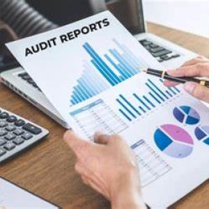 IT Asset Audit and Reporting