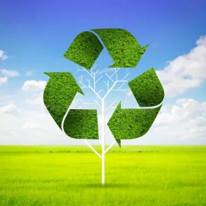 image-tree-as-recycle-symbol-29886333